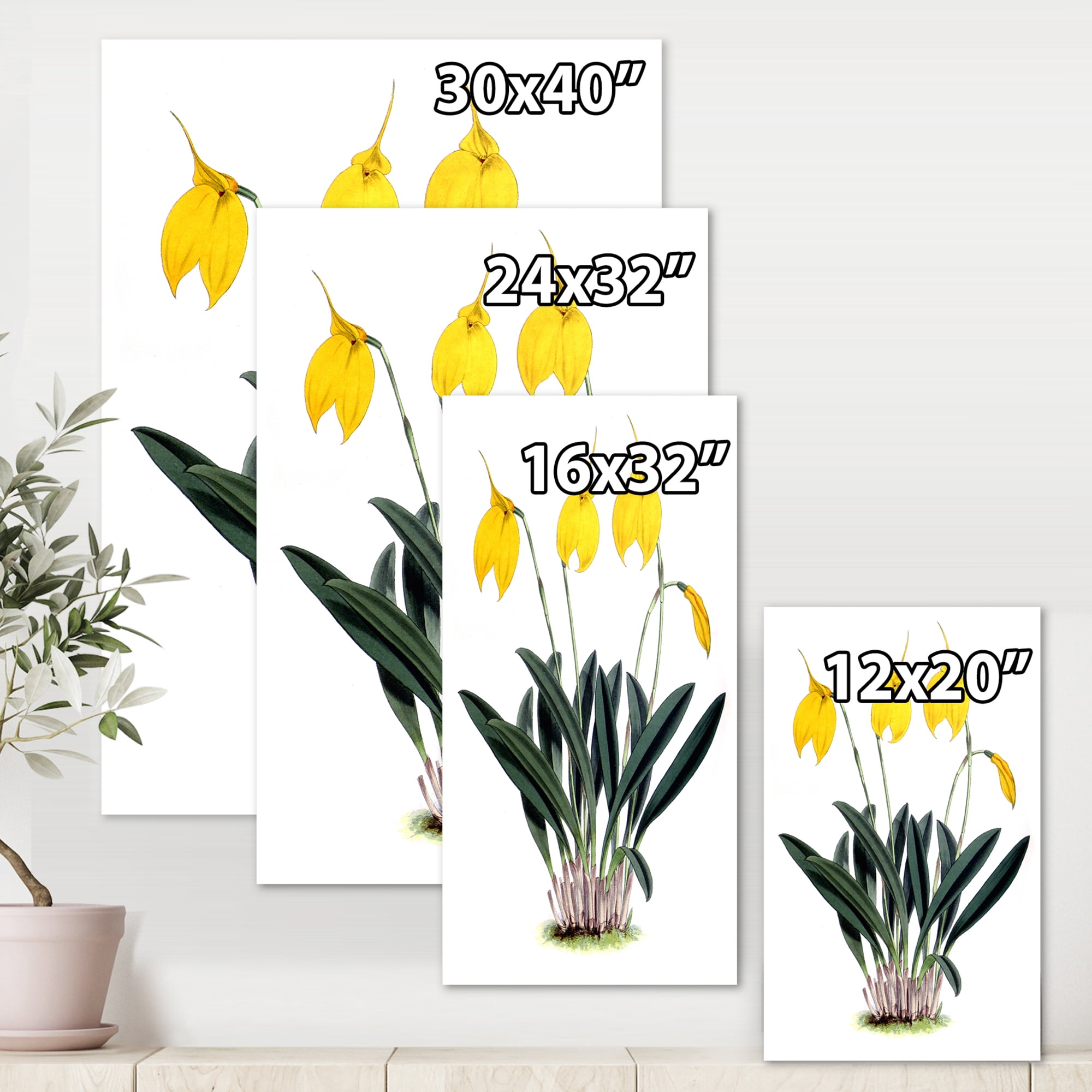Orchid Retro Flowers 30 in x 40 in Painting Canvas Art Print, by Designart