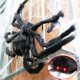 thumbnail image 2 of Araña negra de felpa falsa grande para decoración de Halloween, juguetes de truco de Casa Encantada, fiesta al aire libre, 90/75/50/30cm, 2 of 4