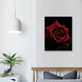 thumbnail image 4 of JRXY  Red Rose Canvas Wall Art Flower Blossoming on Black Background Picture Print Wall Painting Modern Artwork Wall Décor for Bedroom Living Room Bathroom Office 16x20 in, 4 of 5