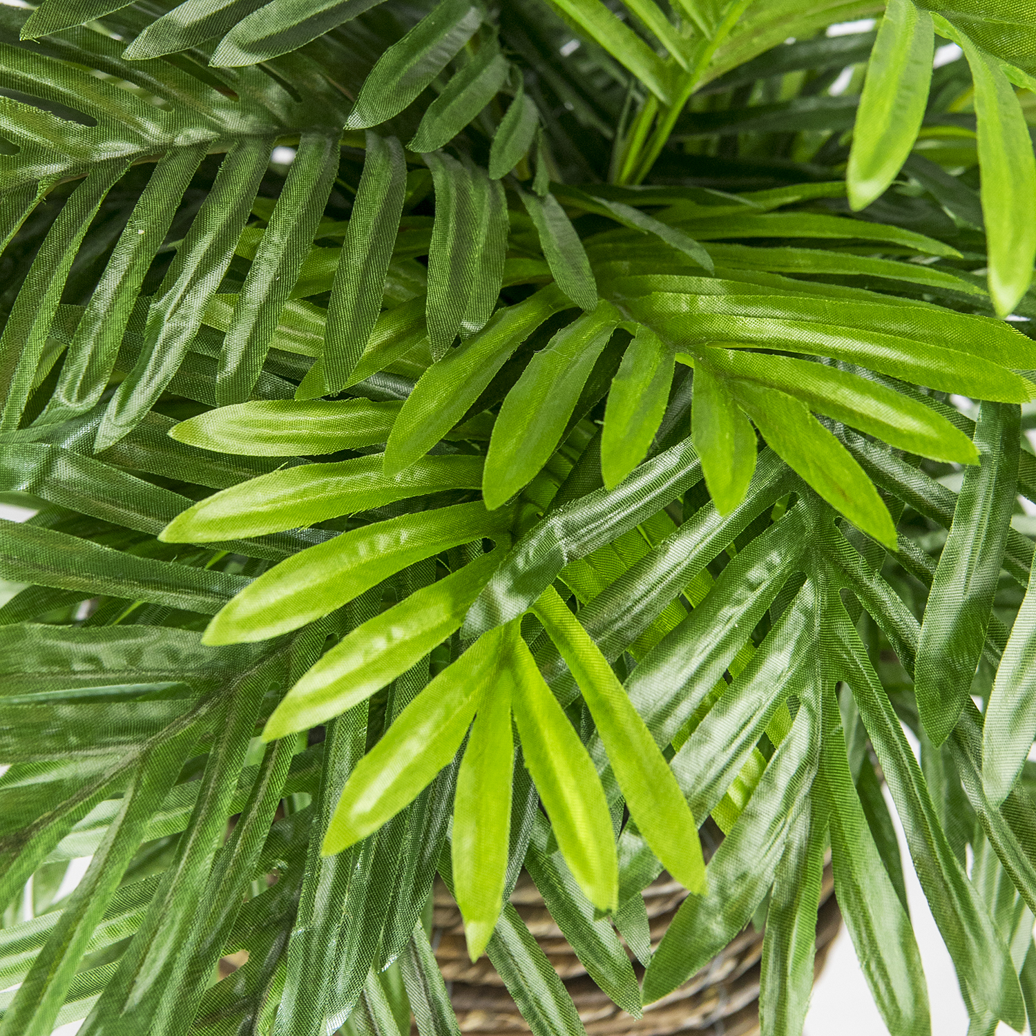 LCG Florals Artificial Plant, Phoenix Palm, 2.5 ft, Basket Stand, Weighs approx. 6 lbs.