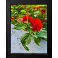 thumbnail image 2 of Grayscale 19x24 Black Modern Framed Museum Art Print Titled - Lantana IV, 2 of 5