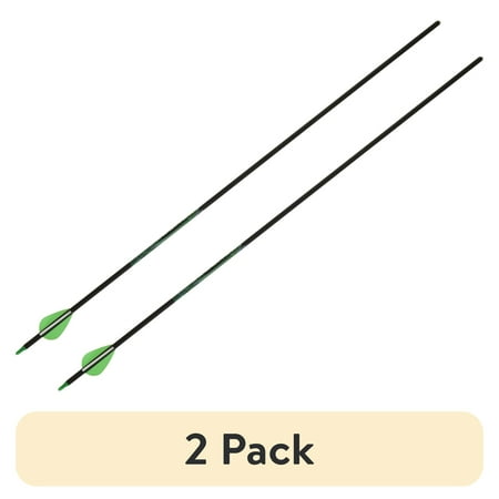 (2 pack) Allen Company Kryptos Carbon Arrow 29 with 2 Profile Vanes Black Hunting Arrow