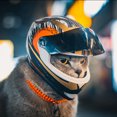 thumbnail image 2 of Cascos para mascotas hechos a mano, casco para gatos, casco para perros, mini casco de seguridad para exteriores que protege la cabeza, accesorios para fotos de mascotas, mini casco de motocicleta, 2 of 5