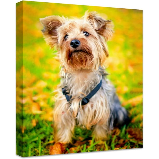 Personalized Photo to Canvas Print Canvas Prints With Your Photos on