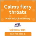 thumbnail image 3 of Little Remedies Sore Throat Pops, Made With Real Honey, 10 Count, 3 of 8
