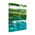 thumbnail image 2 of Ethan Harper 'Terra II' Canvas Art, 2 of 3