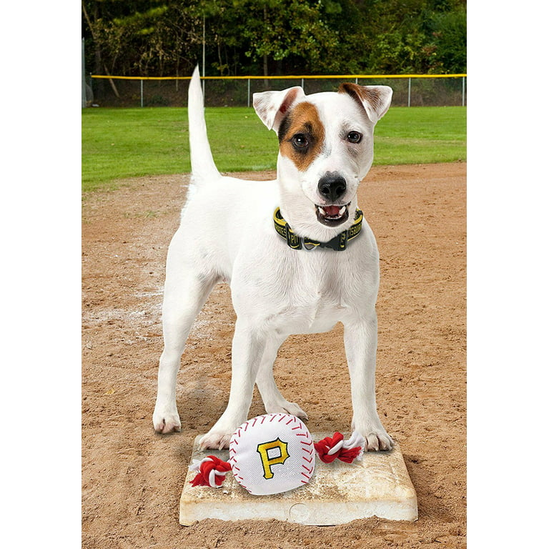 Pets First MLB Pittsburgh Pirates Nylon Baseball Rope Pet Toy