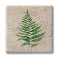 thumbnail image 1 of CounterArt "Fern Study" 4 Pack Natural Travertine Absorbent Stone Coasters, 1 of 7
