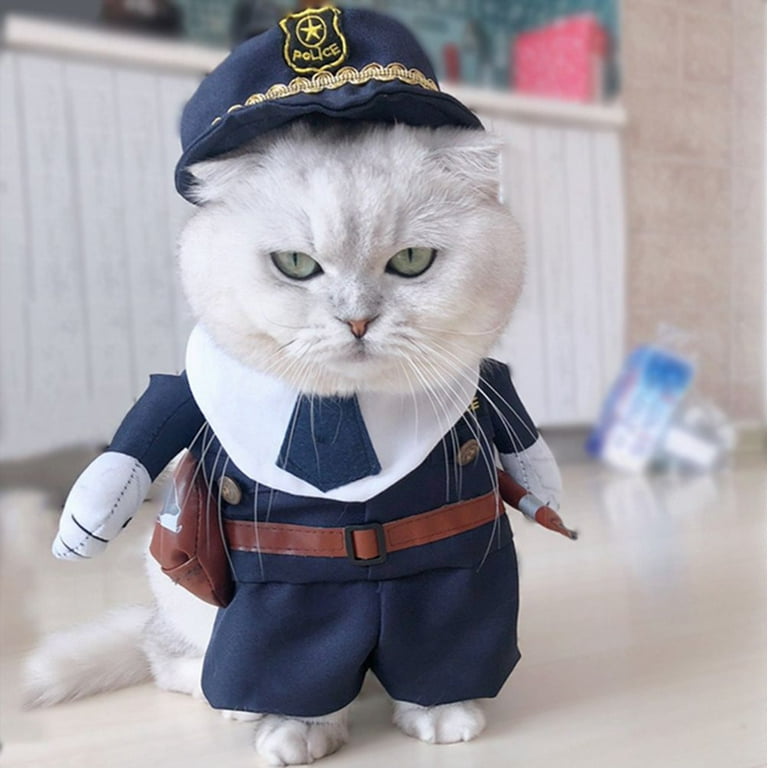 Killer cat costume hotsell