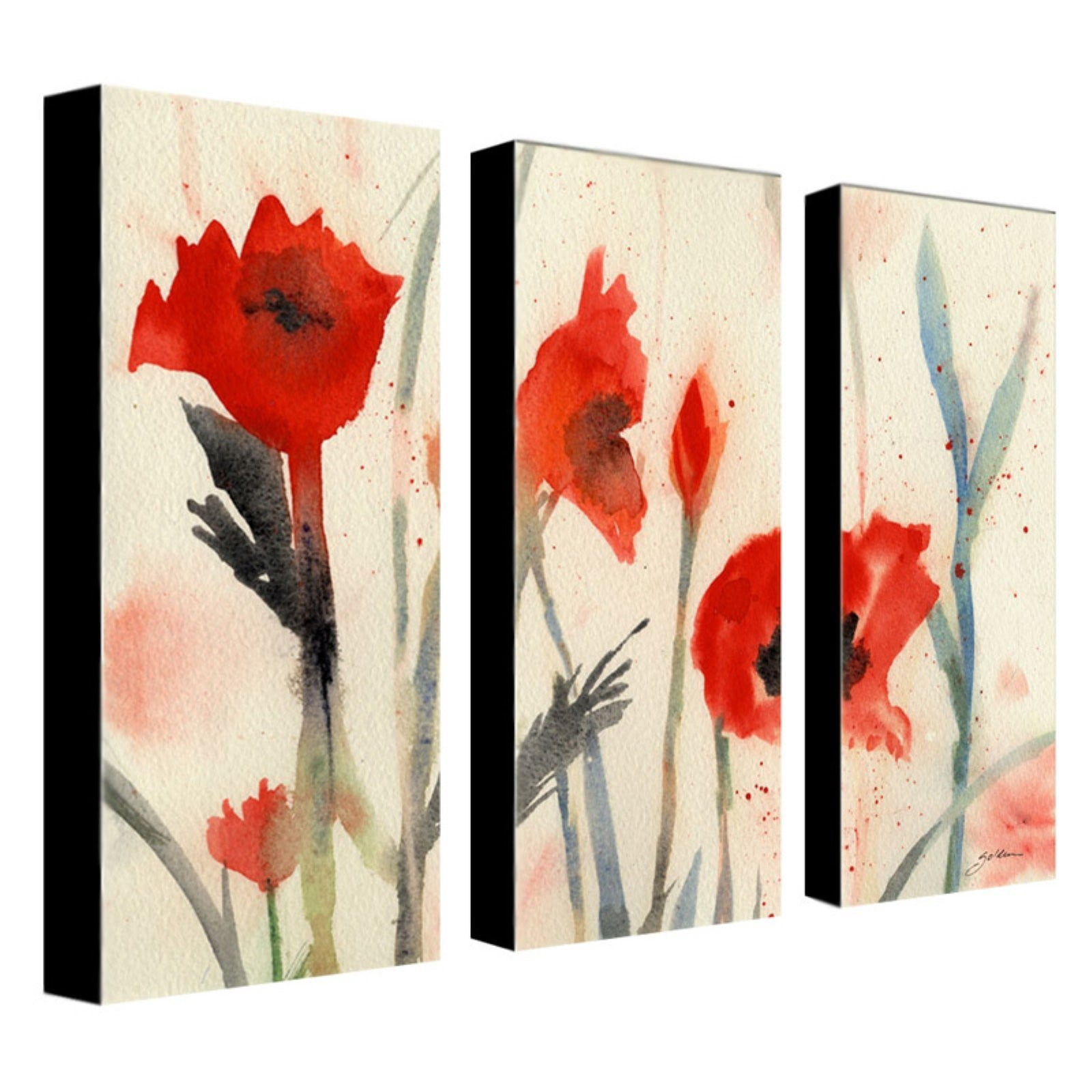 Trademark Art "Poppies" Canvas Art by Sheila Golden