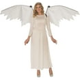 thumbnail image 1 of Rubies White Mechanical Wings for Adults, Unisex No Size, 1 of 3