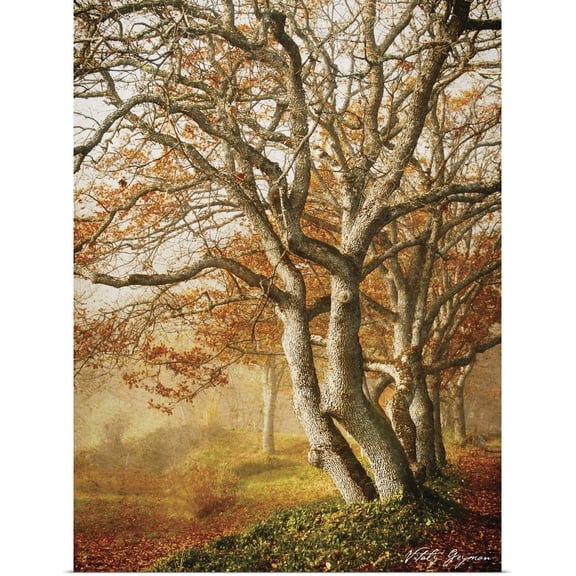 Great BIG Canvas | Rolled Vitaly Geyman Poster Print entitled In the Mist II