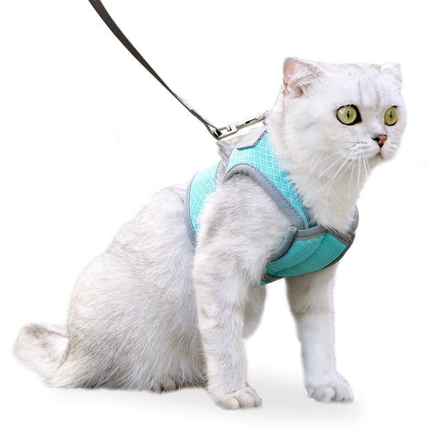 Correa para gatos, para caminar y escapar, correa ajustable para chaleco para gatos