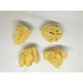 thumbnail image 3 of 4-Pack of Hermit Crab Sea Sponges (All Natural Hermit Crab Sponge) Awesome Aquatics, 3 of 4