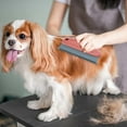 thumbnail image 6 of Versatile Pet Hair Removal Tool – Washable Lint Brush for Dog & Cat Hair on Furniture, Cars, Carpets Clothes, & Sofas, Double Serrated Design, 6 of 9