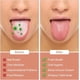 thumbnail image 2 of paquetes de raspador de lengua de acero inoxidable, higiene bucal, fresco, 2 of 4