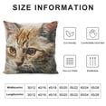 thumbnail image 5 of YINGXI Throw Pillow Covers Home Decor Cat Cute Pillow Cases Decorative 12x12in, 5 of 5