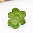 thumbnail image 4 of ziyahi 10x artificial Succulents Small Vivid Useful Simulated Plants Multi-functional Lifelike Photo Props for Household Yards Lawn Flowerpot Type 13, 4 of 9