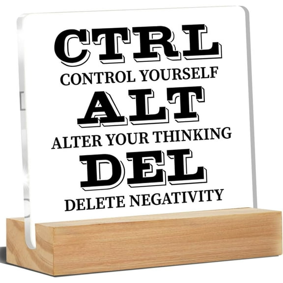 Inspirational Desk Decor Motivational Desk Signs Ctrl Alt Del Quote Acrylic Desk Plaque Sign Home Office Decoration 4x4 Inch