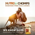 thumbnail image 6 of Nutri Chomps Premium Mini Twists Dog Treats, Real Chicken, Peanut Butter & Milk Flavors, 15 Count, 6 of 7