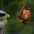 thumbnail image 5 of Clearance! Upgraded Fruit Bird Feeder for Outdoor Garden Hanging Apple Orange Feeder with Hanging Rope Handmade Nature Oriole Bird Feeder Gift for Bird Lovers Balcony Backyard Window Tree Decor, 5 of 9