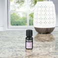 thumbnail image 3 of Better Homes & Gardens 100% Pure Essential Oil: Lavender, 15mL, 3 of 9