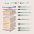 thumbnail image 2 of Bee Hive Boxes 10 Frame Langstroth Beehive,Complete Beehive Kit Includes 2 Deep Brood Bee Hives Box, 1 Medium Super Bee Box with Beehive Frames and Foundation, 2 of 12