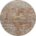 thumbnail image 2 of Addison Rugs Mayfield Premium Machine Washable Traditional Global Coral Round Rug, 8' x 8', 2 of 5