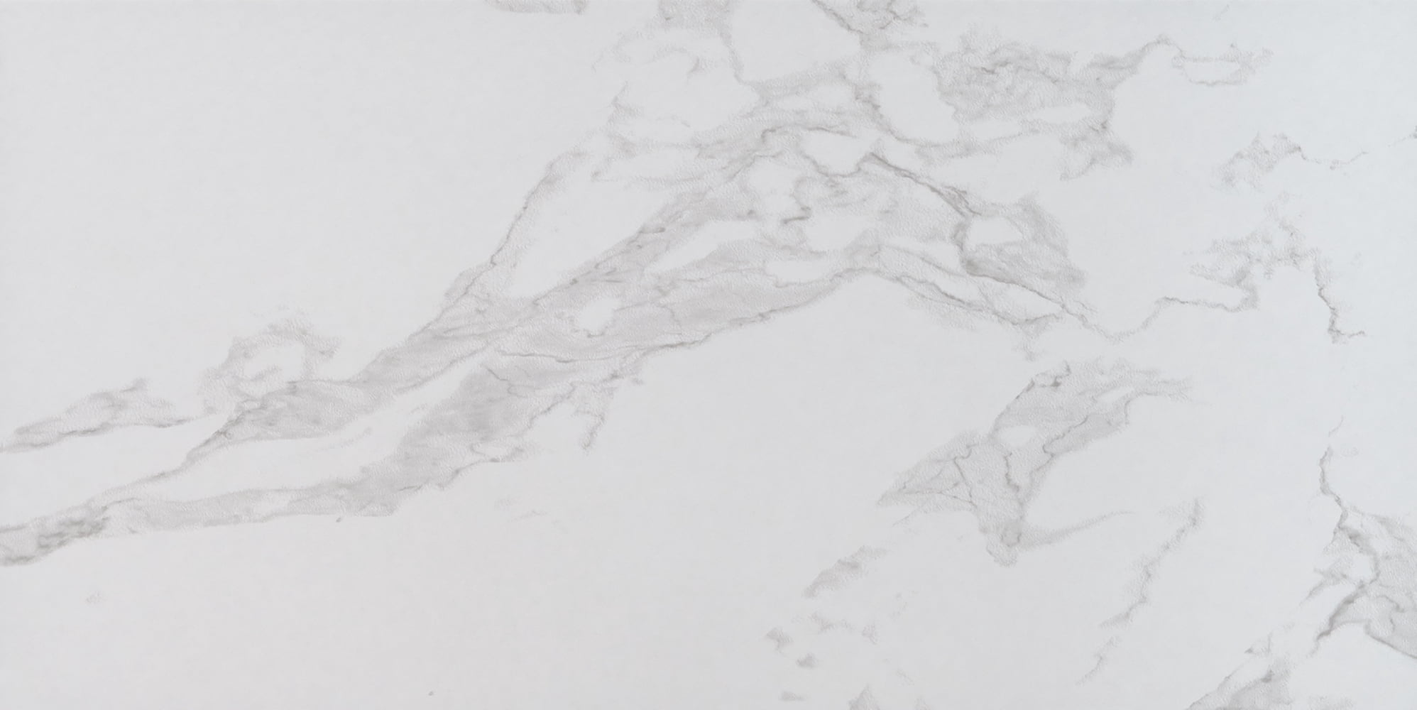 Praia Carrara 24 in. X 48 in. Polished Porcelain Floor and Wall Tile (16 sq.ft. / case)