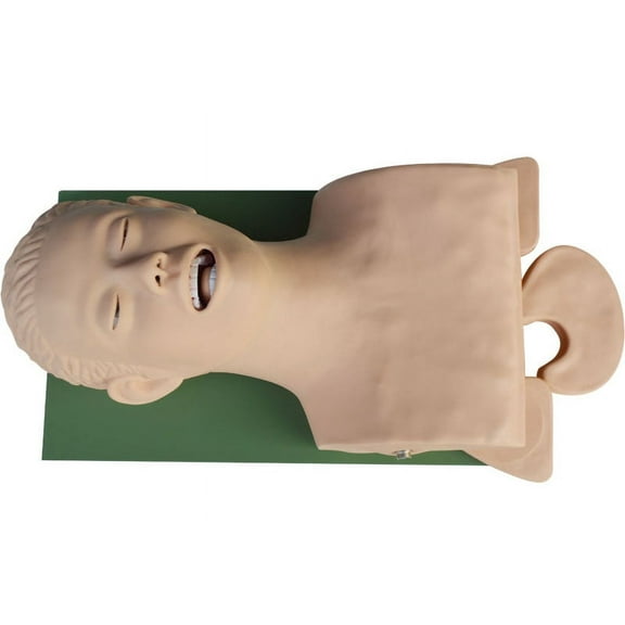 PreAsion Teaching Study Model Airway Management Trainer Intubation Manikin 110V-220V