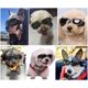 thumbnail image 3 of Gafas de sol para perros pequeños, gafas de protección UV, protector contra el desgaste de los ojos con correa ajustable, gafas de sol impermeables para mascotas, color rosa, 3 of 4