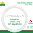 thumbnail image 3 of Bombilla fluorescente COOGGALAN FC8T9/CW 22W 4100K 1350lm, 3 of 6