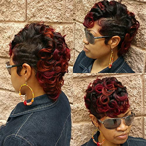Naseily Short Black and Burgundy Wig Short Curly 2 Tones Synthetic Wigs For Black  Women Natural Short Hair Wig (9512-hb) 