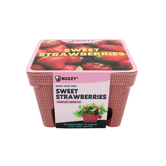 Ceramic Strawberry Basket Grow Kit – Alpine Strawberry Seed Starter with Decorative Planter for Indoor & Outdoor Gardening