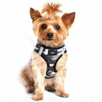 free dog harness