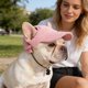 thumbnail image 4 of Gorra para mascota con correa ajustable para barbilla, gorra de béisbol de pana con protección solar para perros pequeños y gatos, accesorio transpirable de verano, 4 of 6