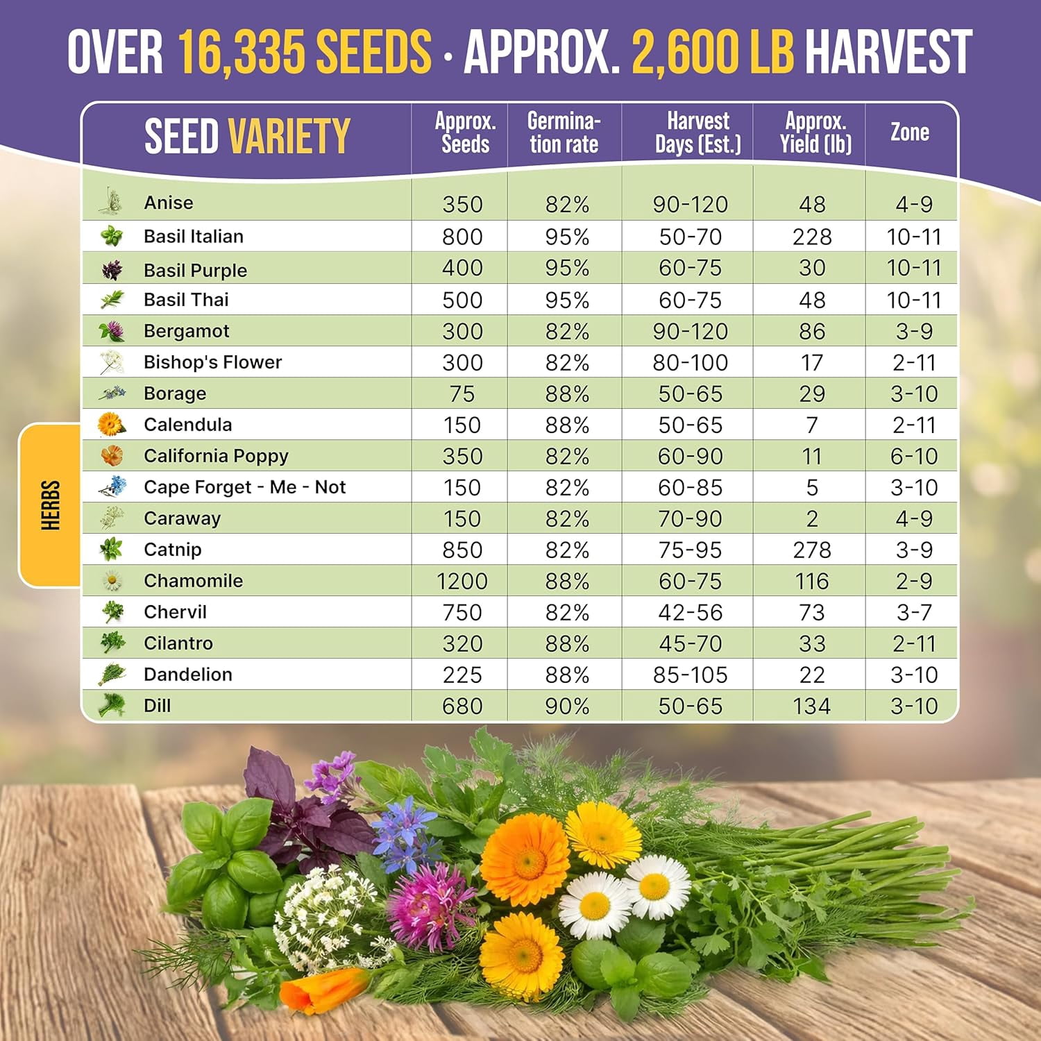 35 Medicinal & Tea Herb Seeds Variety Pack for Indoor Outdoors 16,335+ Non-GMO Heirloom Garden Seeds