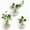 3, variant on Wall Hanging Planter Set of 3, Hydroponic Plant Propagation Station for Home Office Decor