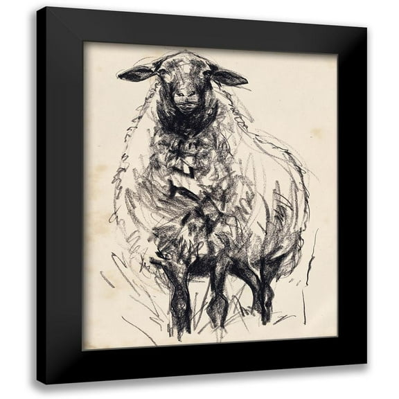 Parker, Jennifer Paxton 12x14 Black Modern Framed Museum Art Print Titled - Charcoal Sheep I