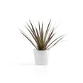thumbnail image 4 of Ecopots Amsterdam Mini Durable Modern Round Recycled Based Composite Flower Pot Planter, Pure White, 5", 4 of 4