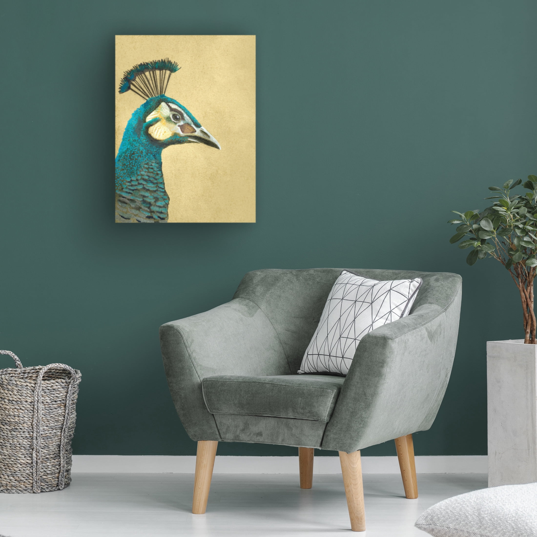 Trademark Fine Art Katie O'Shea  Peacock Profile II Canvas Wall Art