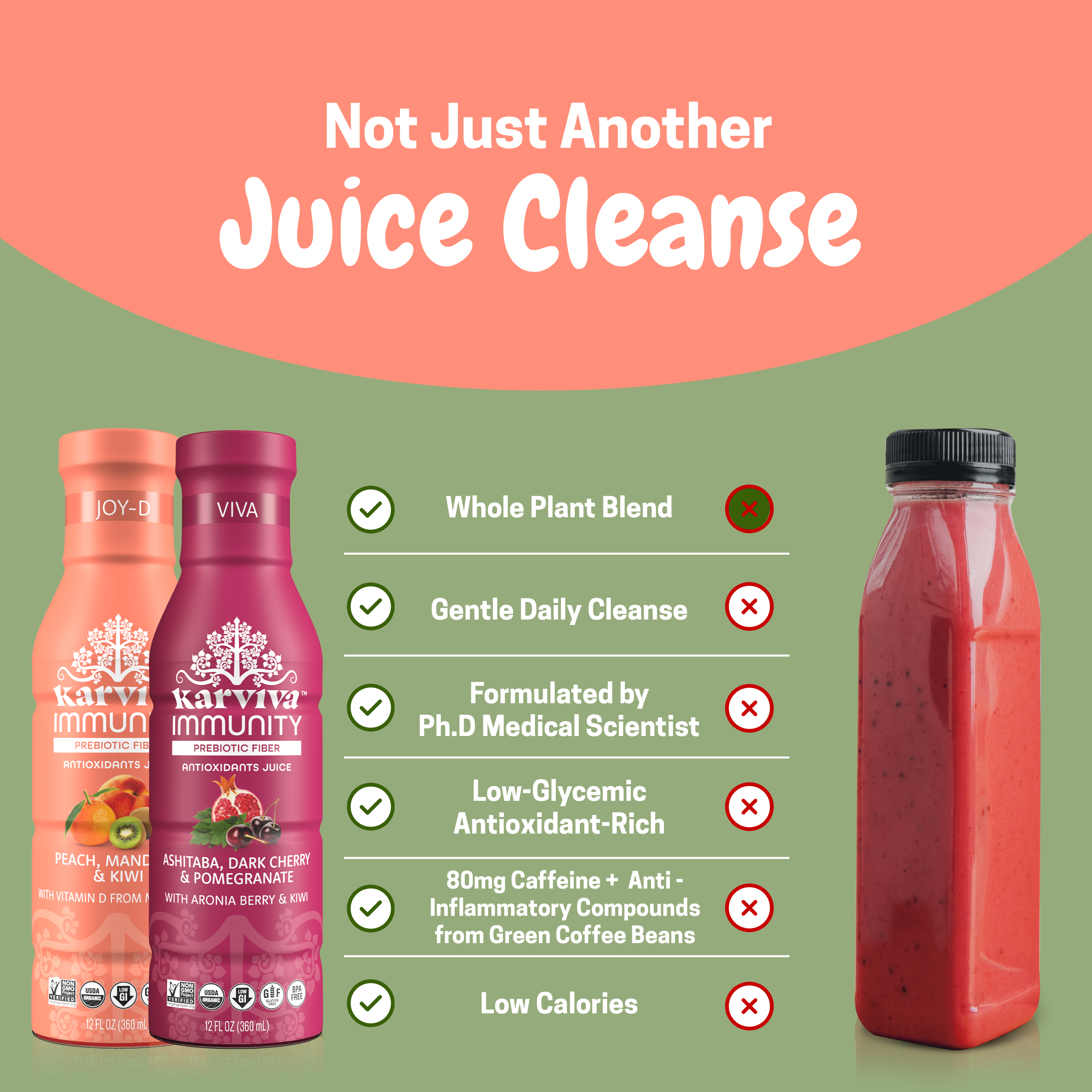 Karviva Organic Prebiotic & Antioxidant Juice, 3 Day Detox, Vitamin C &D, Low-Sugar, Low-Carb, High-Fiber, 6-Pack, 12 fl oz per bottle