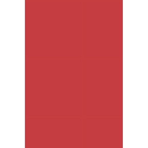 Middle East Studies: History, Politics & The New Pythian Voices: Women Building Capital in NGO's in the Middle East, (Paperback)