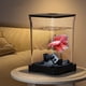 thumbnail image 1 of Mini acuario Blaxill de liquidación, autolimpiable, ecológico de escritorio, con iluminación LED y forma de cubo, kit de inicio para creativos., 1 of 6