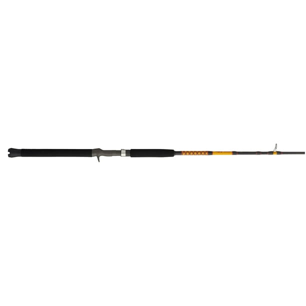 Bigwater Spinning Rod