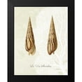 thumbnail image 2 of Fab Funky 15x18 Black Modern Framed Museum Art Print Titled - French Shell Print b, 2 of 5