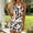 White Blue, variant on Ynynlocho Womens Halter Romper with Pockets Summer Colorful Tie Dye Elastic Waist Short Jumpsuit
