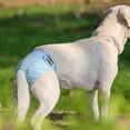 thumbnail image 3 of Adjustable Pet Diaper Pants - Breathable Anti-Fade Physiological Pants for Daily Comfort, 3 of 8