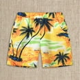 thumbnail image 2 of Boys' Swim Trun𝐤s Little Boys Bathing Suit Quick Dry Swimsuit Shorts with Pockets Toddler Swim Shorts Kids Swimwear, 2 of 5