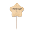 thumbnail image 1 of Qoutes Famous People Healing Clouds Humbly Toothpick Flags Star Lable Cupcake Picks, 1 of 3
